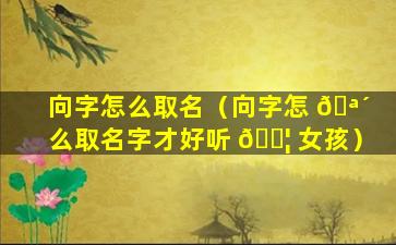 向字怎么取名（向字怎 🪴 么取名字才好听 🐦 女孩）